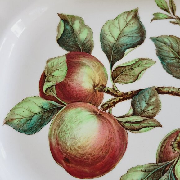 Vintage Spode Apple 14" Oval Platter Red & Green Fruit c1960s England Fall Decor - Picture 4 of 11